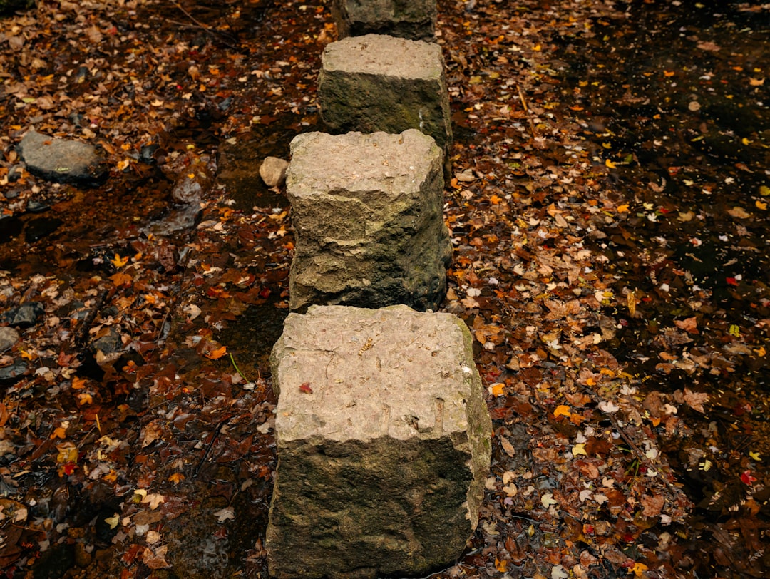 Photo stone pathway lamp